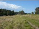 Wingham NSW 2429