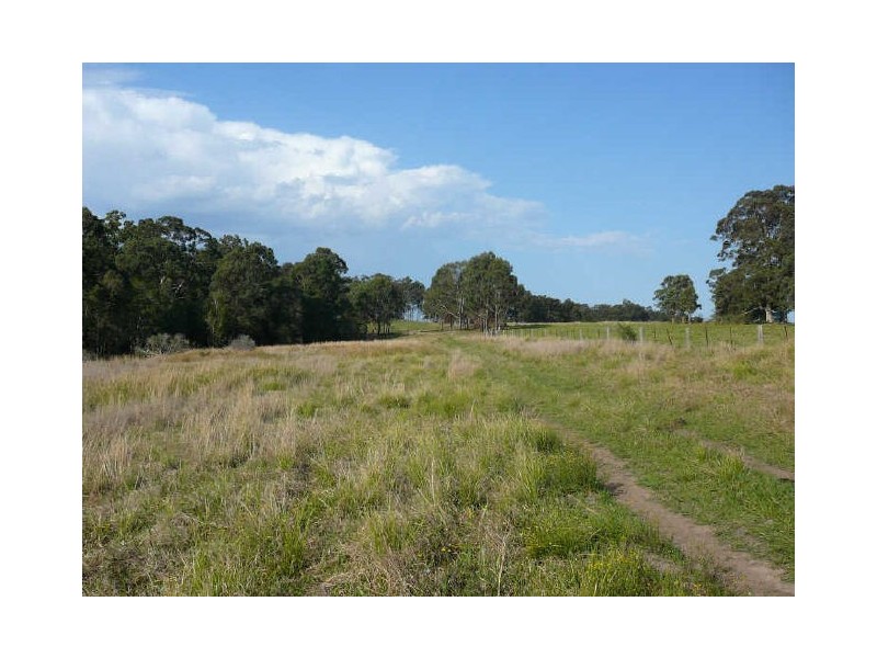 Wingham NSW 2429