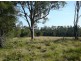 Wingham NSW 2429
