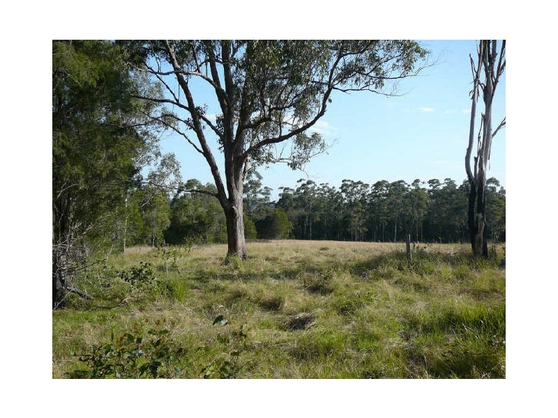 Wingham NSW 2429