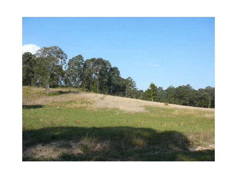 Wingham NSW 2429