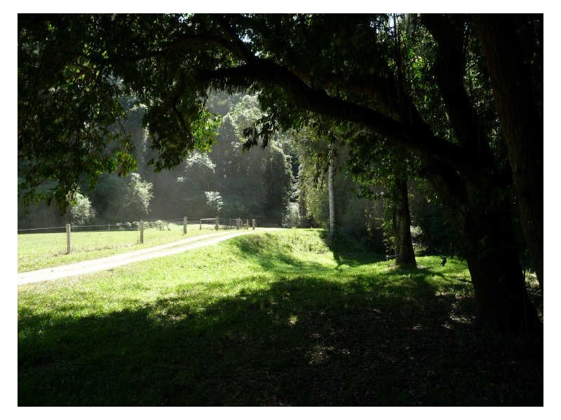 Hannam Vale NSW 2443