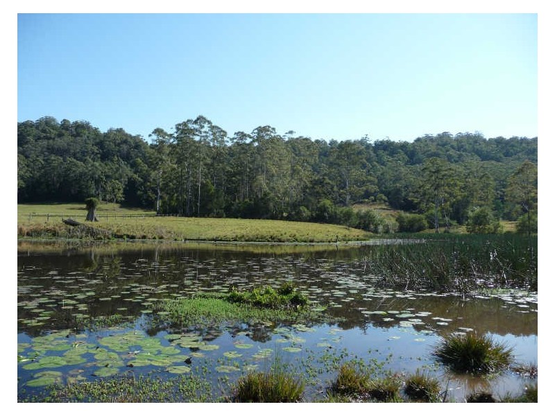 Hannam Vale NSW 2443