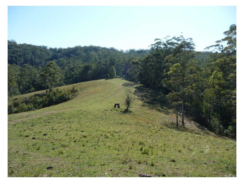Hannam Vale NSW 2443