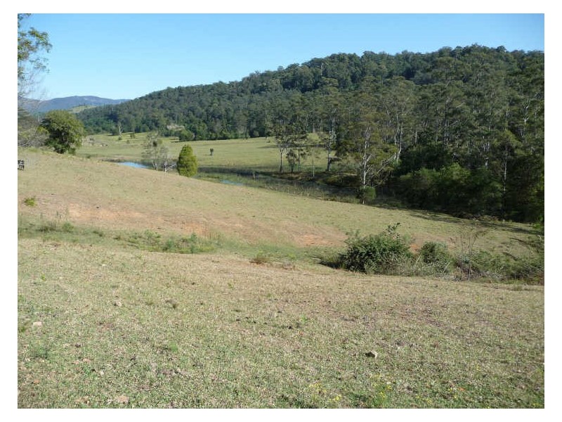 Hannam Vale NSW 2443