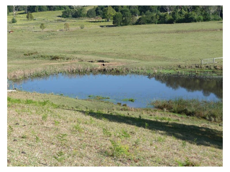 Hannam Vale NSW 2443