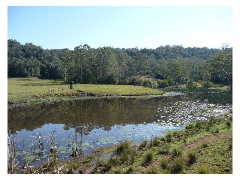 Hannam Vale NSW 2443