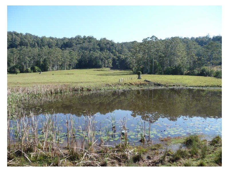 Hannam Vale NSW 2443