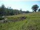 Hannam Vale NSW 2443