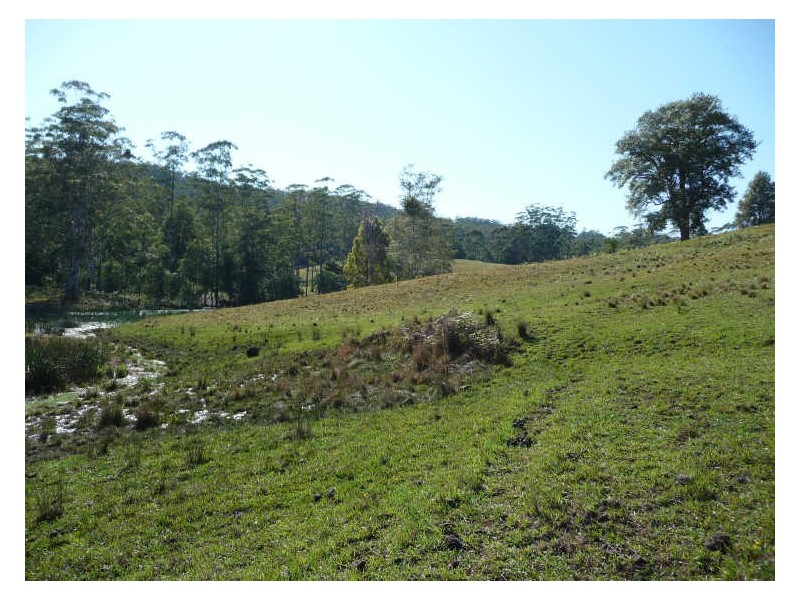 Hannam Vale NSW 2443