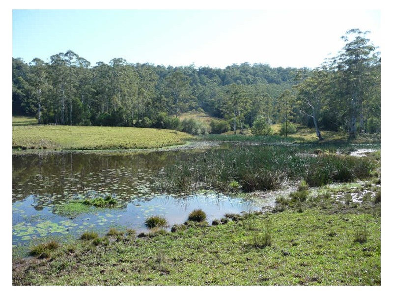 Hannam Vale NSW 2443