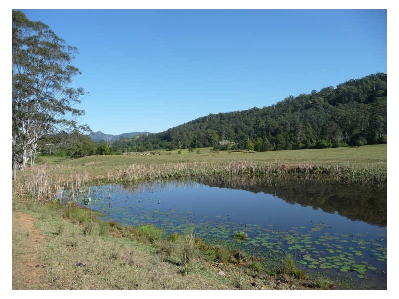Hannam Vale NSW 2443