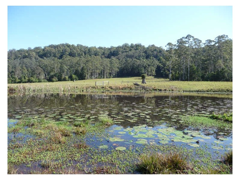 Hannam Vale NSW 2443