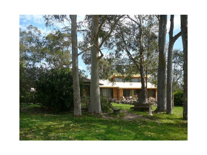 Charity Creek NSW 2424