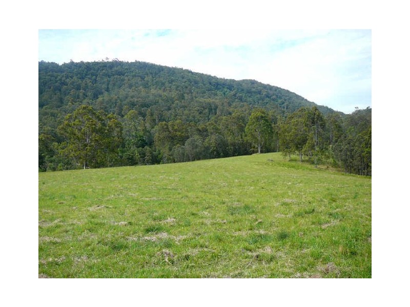 Charity Creek NSW 2424