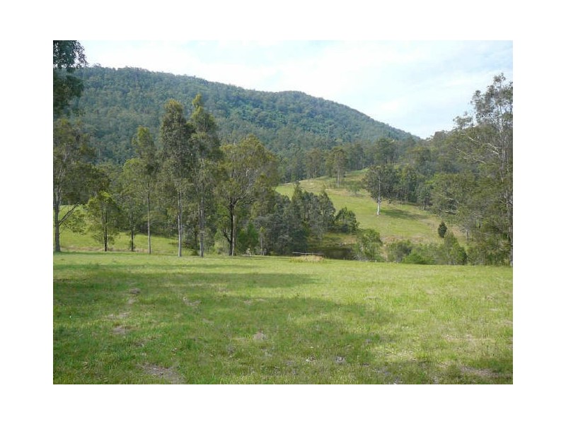 Charity Creek NSW 2424