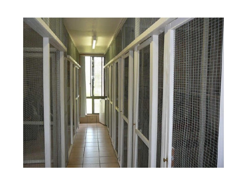 Charity Creek NSW 2424