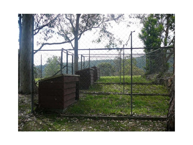 Charity Creek NSW 2424