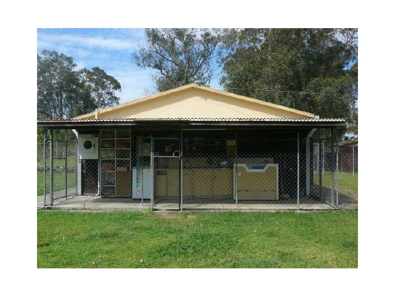 Charity Creek NSW 2424