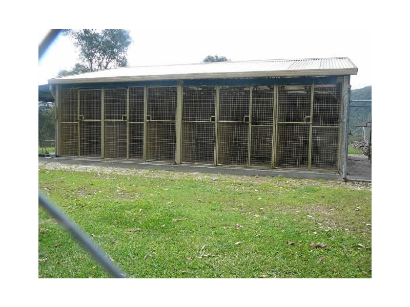 Charity Creek NSW 2424