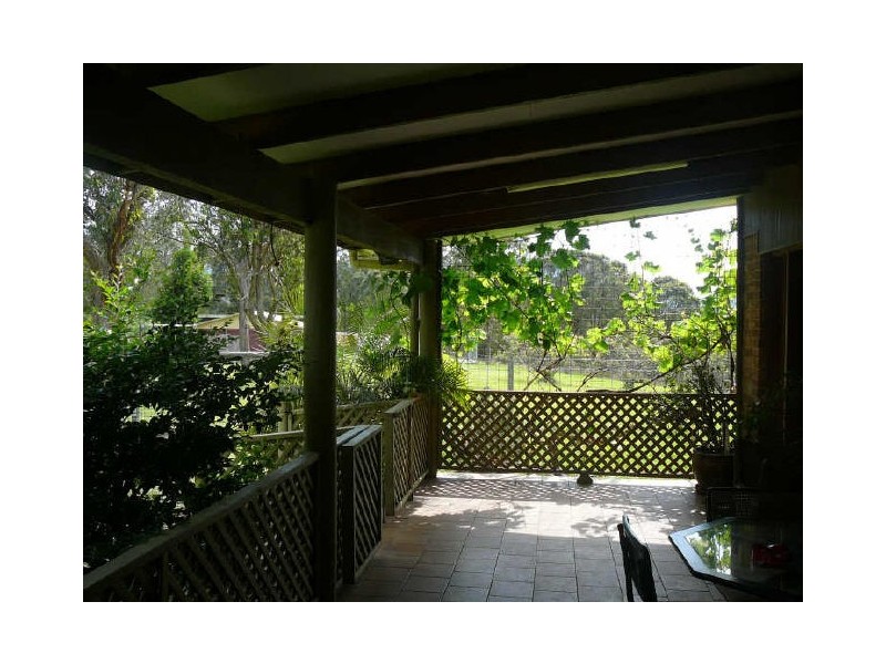 Charity Creek NSW 2424