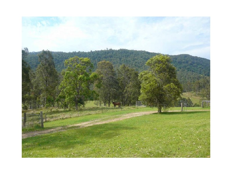 Charity Creek NSW 2424