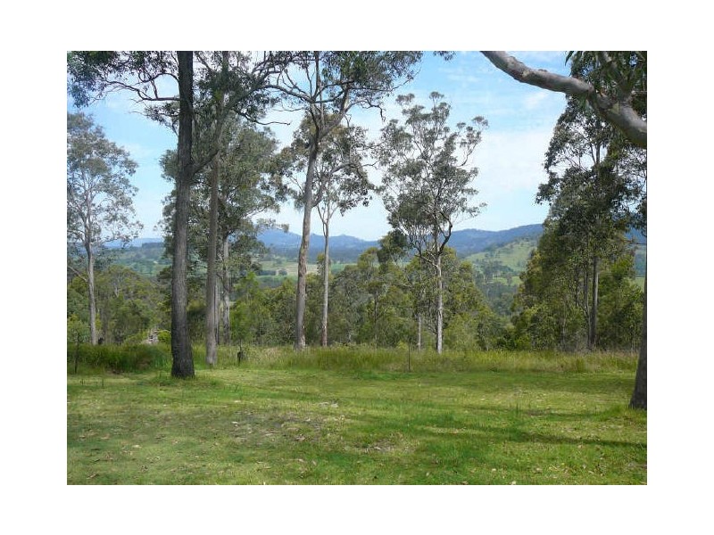 Charity Creek NSW 2424