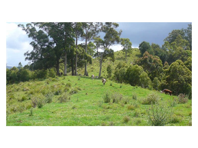 Mooral Creek NSW 2429