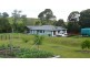 Wingham NSW 2429