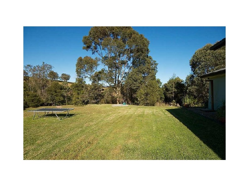 Wingham NSW 2429