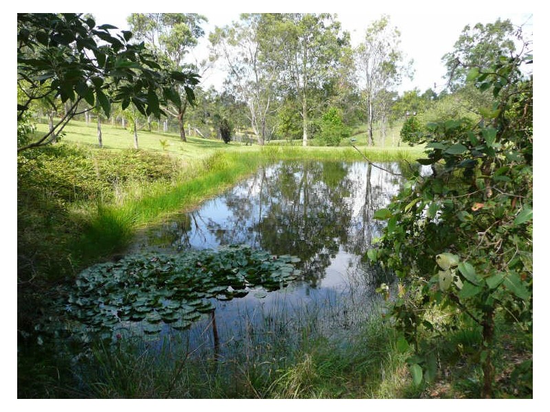 5 Abbotts Falls Road, Wingham NSW 2429