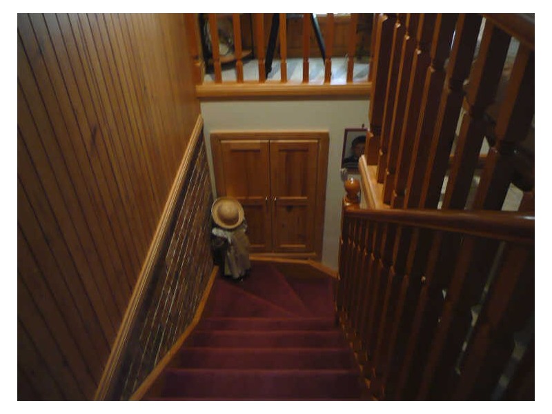 5 Abbotts Falls Road, Wingham NSW 2429