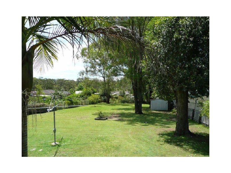 Wingham NSW 2429