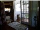 Wingham NSW 2429