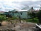 Wingham NSW 2429
