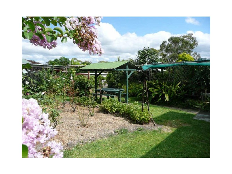 Wingham NSW 2429
