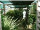 Wingham NSW 2429
