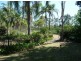 Cundletown NSW 2430