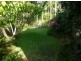Wingham NSW 2429
