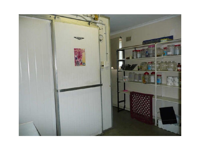 Wingham NSW 2429