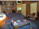 Wingham NSW 2429