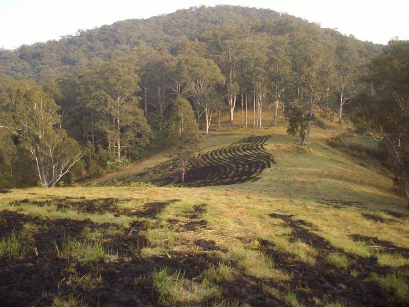 Mount George NSW 2424