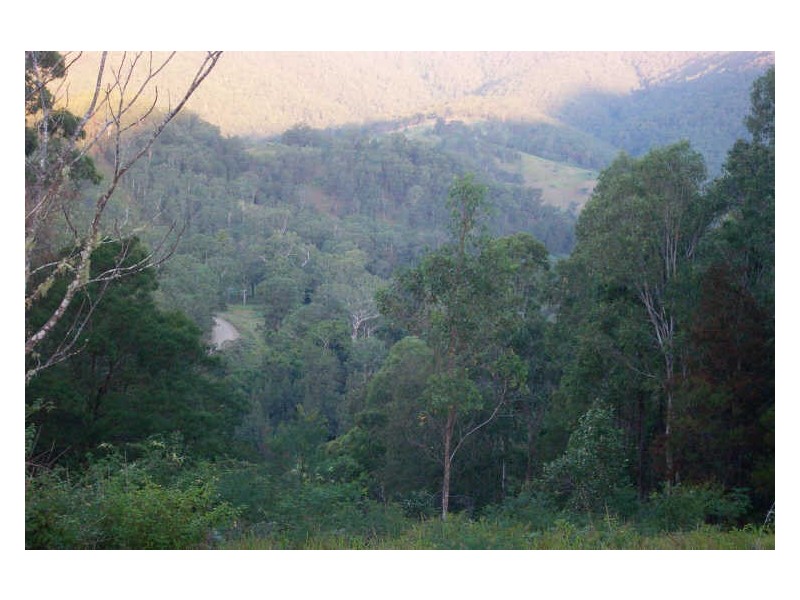 Mount George NSW 2424