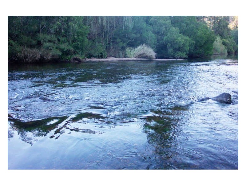 Mount George NSW 2424