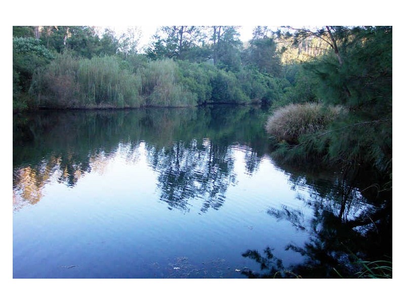 Mount George NSW 2424