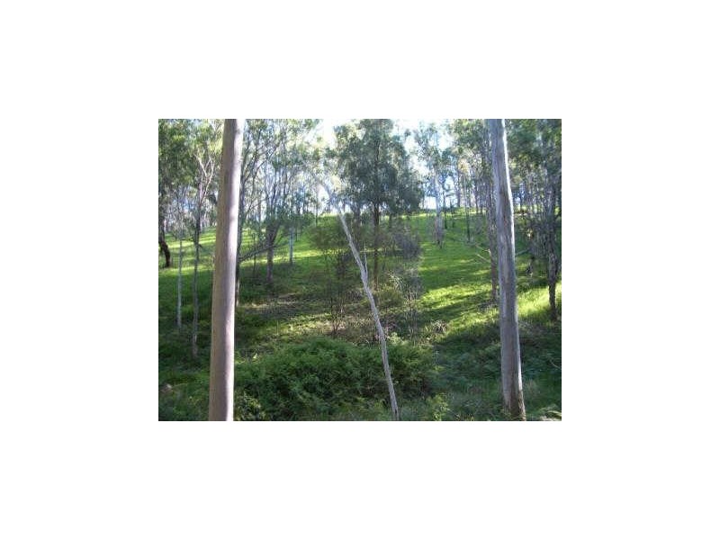 Mount George NSW 2424