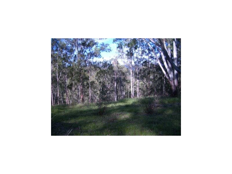 Mount George NSW 2424