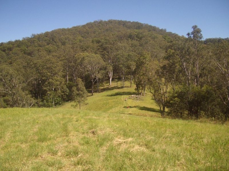 Mount George NSW 2424