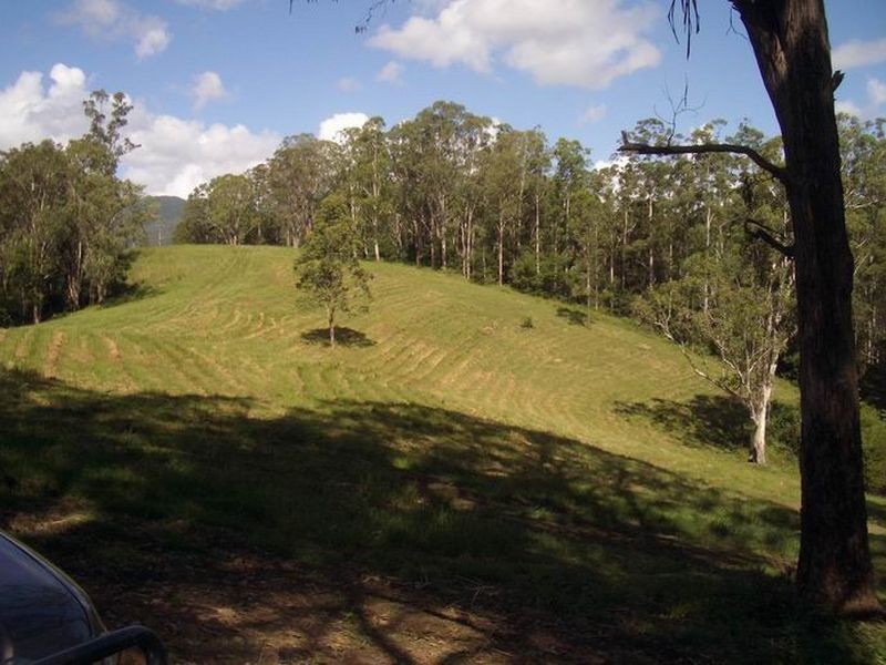 Mount George NSW 2424