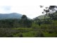 Mount George NSW 2424